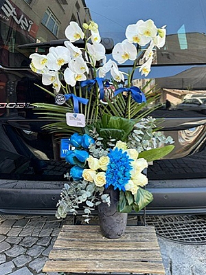 2 Dal Beyaz Orkide Arajman